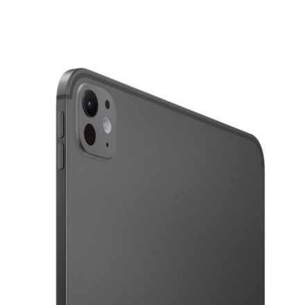 Планшет Apple iPad Pro 11" M5 1Tb (2025) Wi-Fi + Cellular нанотекстурное стекло «черный космос»