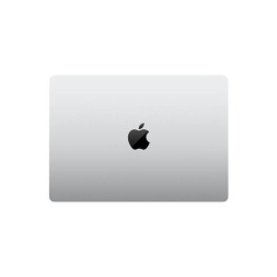 Apple MacBook Pro 14" M4 Max 16c CPU, 40c GPU, 128/2TB серебристый (2024)